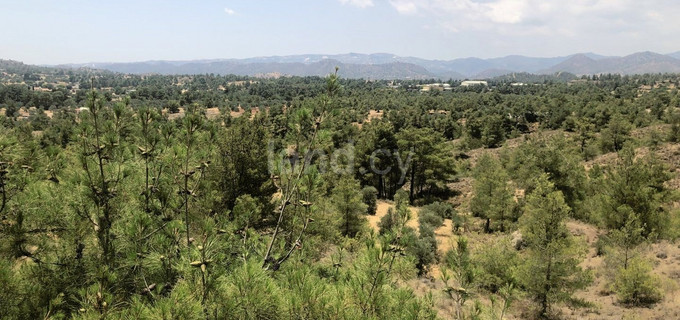 Campo a la venta en Nicosia