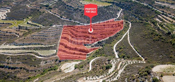 Agricultural field for sale in Limassol