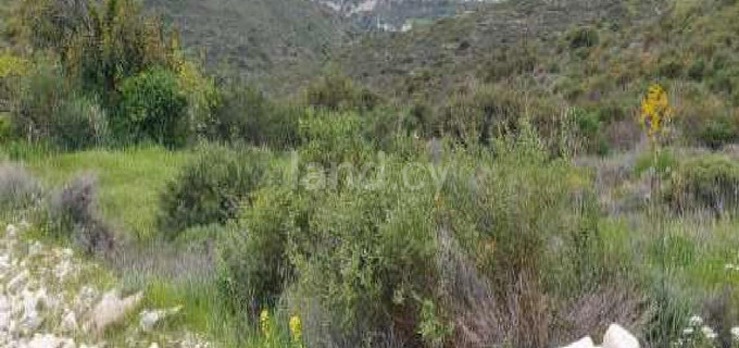 Landwirtschaftliches Baugebiet in Larnaca zu verkaufen