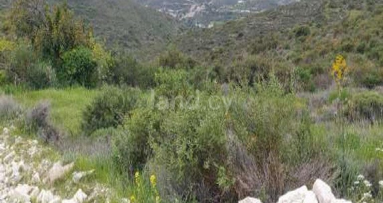 Landwirtschaftliches Baugebiet in Larnaca zu verkaufen