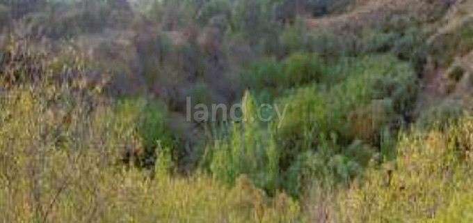 Residential field for sale in Paphos