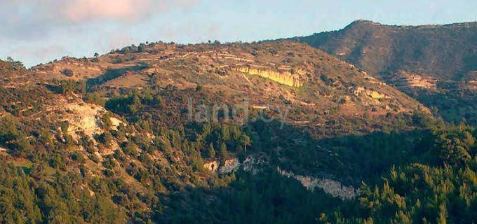 Αγροτικό αγροτεμάχιο προς πώληση - Λεμεσός