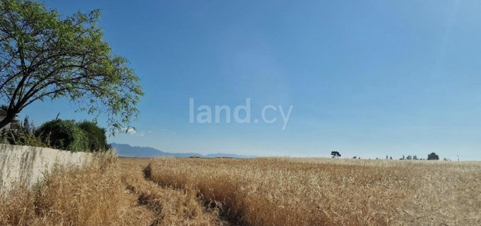 Agricultural field for sale in Nicosia