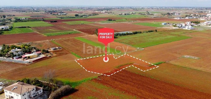 Residential field for sale in Liopetri