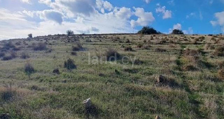 Αγροτικό αγροτεμάχιο προς πώληση - Λευκωσία