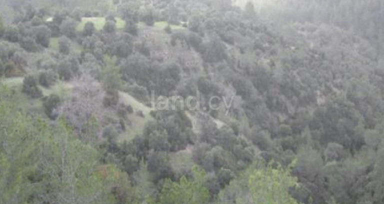 Αγροτικό αγροτεμάχιο προς πώληση - Πάφος