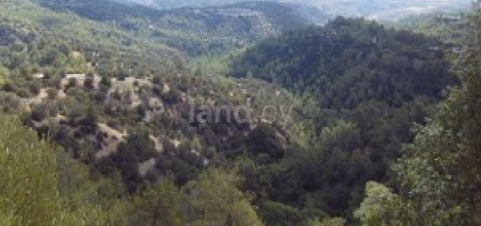 Agricultural field for sale in Paphos