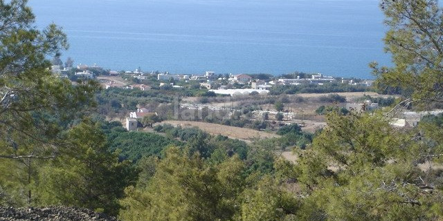 Field for sale in Paphos