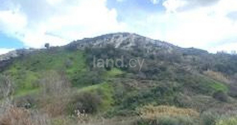 Αγροτικό αγροτεμάχιο προς πώληση - Πάφος