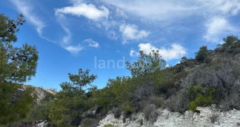 Agricultural field for sale in Larnaca