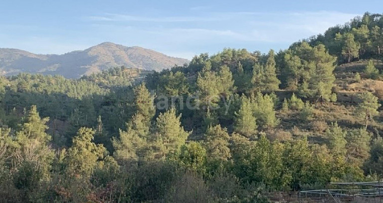 Campo agrícola a la venta en Nicosia