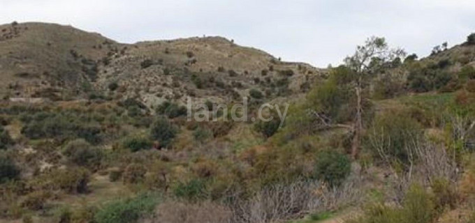 Agricultural field for sale in Limassol