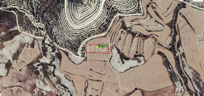 Campo agrícola a la venta en Larnaca