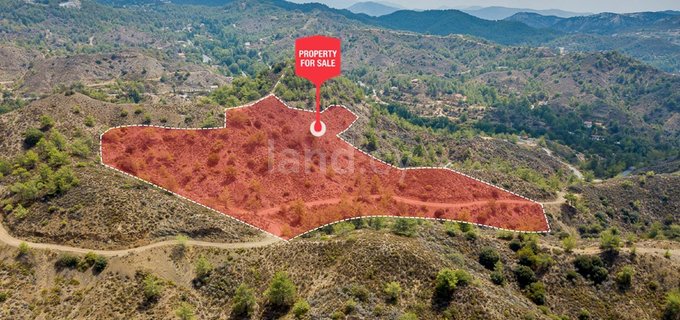 Residential field for sale in Limassol