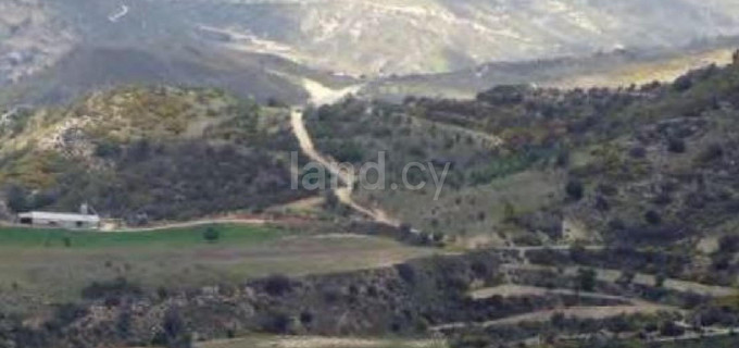 Agricultural field for sale in Limassol