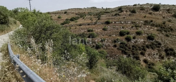 Campo agrícola a la venta en Paphos