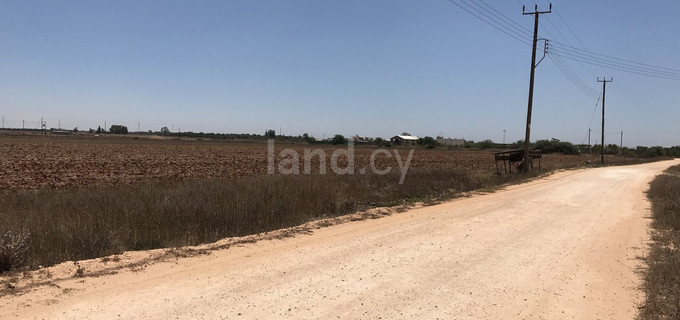 Parcelle à vendre à Avgorou