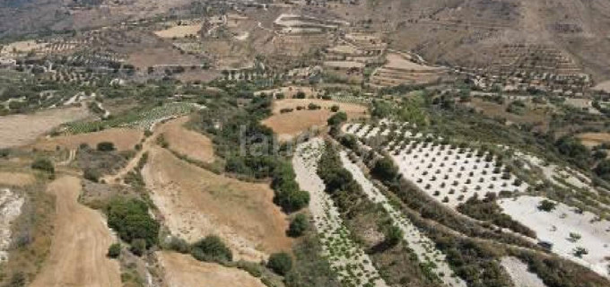 Terrain agricole à vendre à Paphos