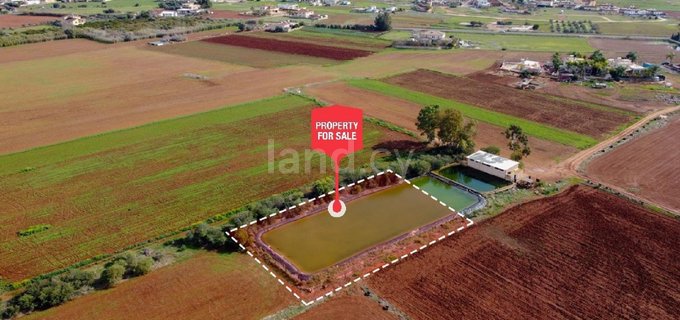 Residential field for sale in Liopetri