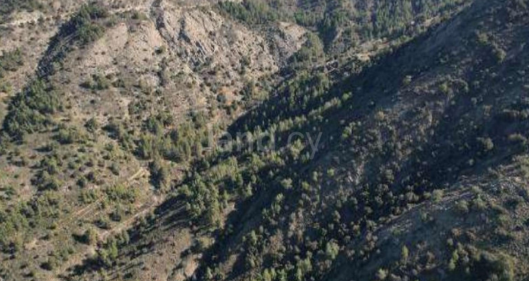 Αγροτικό αγροτεμάχιο προς πώληση - Λευκωσία