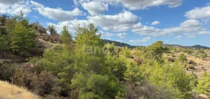 Agricultural field for sale in Nicosia