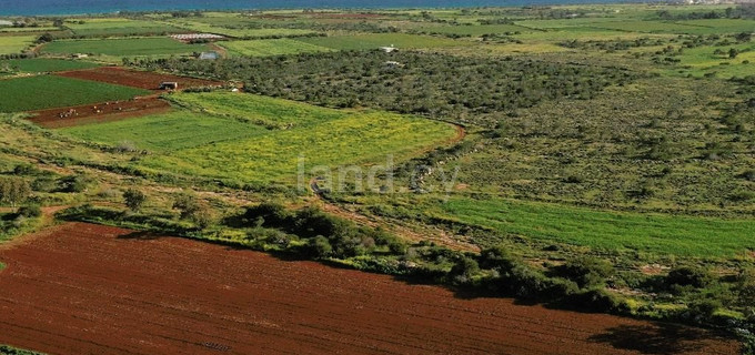 Touristic plot for sale in Liopetri