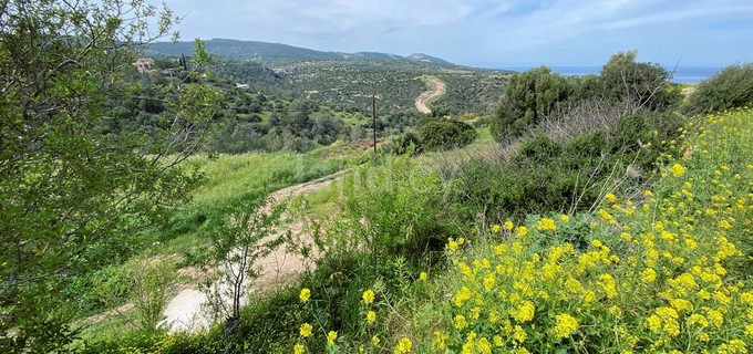 Residential plot for sale in Paphos