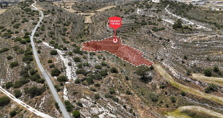 Αγροτικό αγροτεμάχιο προς πώληση - Λευκωσία