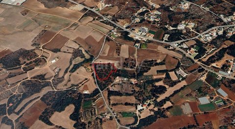 Agricultural field for sale in Protaras