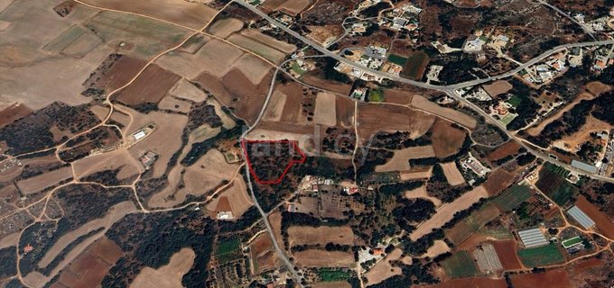 Agricultural field for sale in Protaras