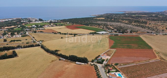 Agricultural plot for sale in Ayia Napa