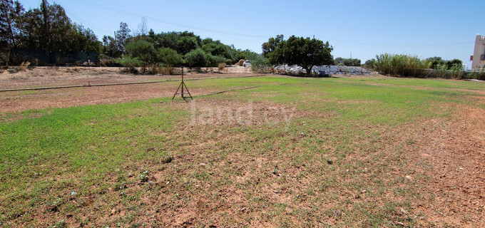 Touristic plot for sale in Pernera