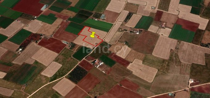 Landwirtschaftliches Baugebiet in Avgorou zu verkaufen