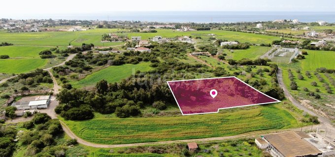 Agricultural field for sale in Paralimni