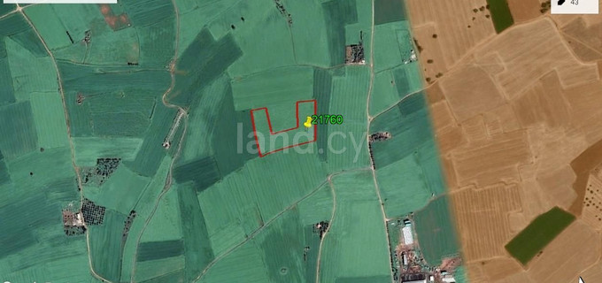 Jordbruksfält till salu i Larnaca