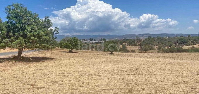Agricultural field for sale in Paphos