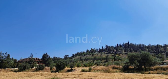 Parcelle agricole à vendre à Larnaca