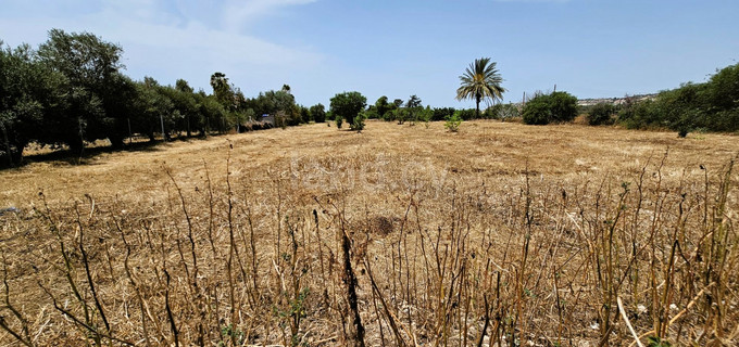 Tomt avsedd för boende till salu i Paphos