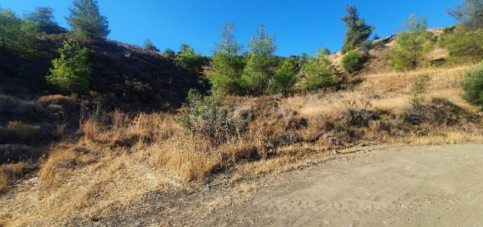 Agricultural field for sale in Nicosia