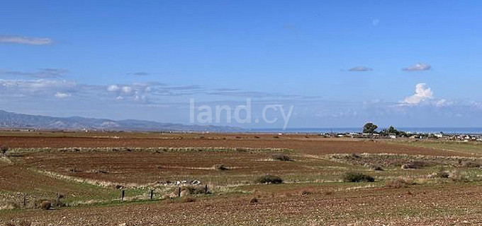 Agricultural field for sale in Nicosia