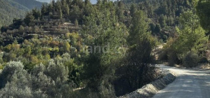 Agricultural field for sale in Nicosia
