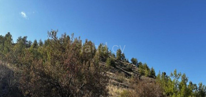 Agricultural field for sale in Nicosia