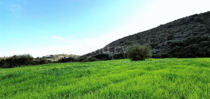 Campo agrícola a la venta en Limassol
