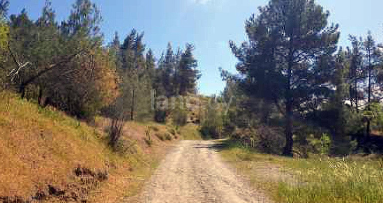 Landwirtschaftliches Baugebiet in Nicosia zu verkaufen