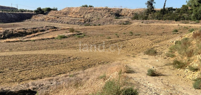 Αγροτικό αγροτεμάχιο προς πώληση - Λευκωσία