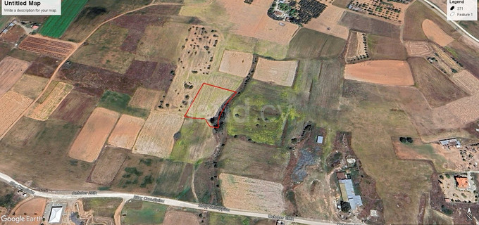 Agricultural field for sale in Nicosia