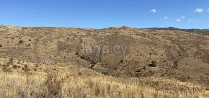 Landwirtschaftliches Baugebiet in Paphos zu verkaufen