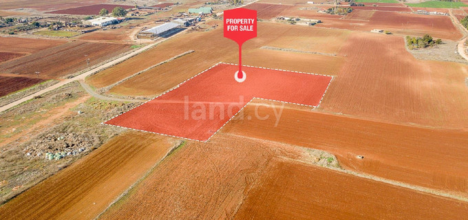 Agricultural field for sale in Avgorou