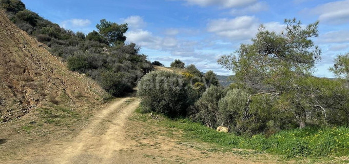 Agricultural field for sale in Nicosia