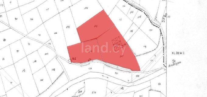 Agricultural field for sale in Larnaca